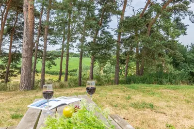 two glasses of wine sitting on a picnic table in a field at The Buttery in Freston