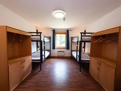 a room with four bunk beds and a window at YHA London Lee Valley in Cheshunt