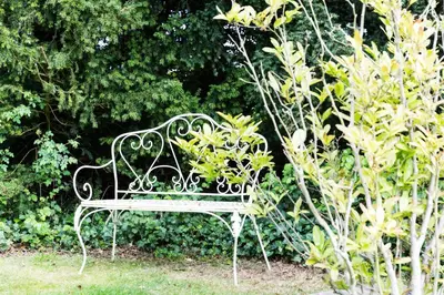 a white bench sitting in the middle of a garden at Squirrel in Southwold