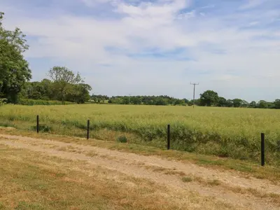 a dirt road in a field with a fence at Snowy Owl Barn in Shipdham