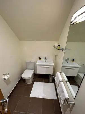 a bathroom with a toilet and a sink and a mirror at Meadows Barn in Chelmsford