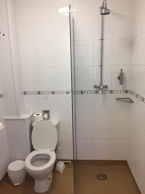 a bathroom with a toilet and a shower at The Black Bull Inn in Fyfield