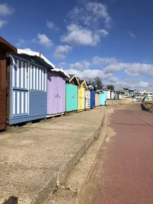 a row of colorful houses on the side of a street at Campion Lodge in Chappel