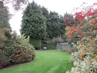a yard with trees and a lawn with green grass at Newmans Hall Bed & Breakfast in Little Waldingfield