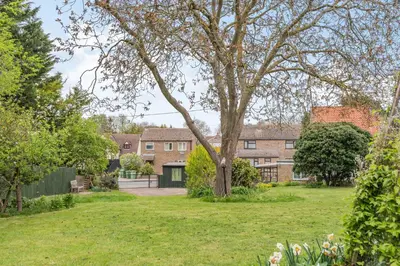 a large tree in the yard of a house at Violet Cottage in Feltwell