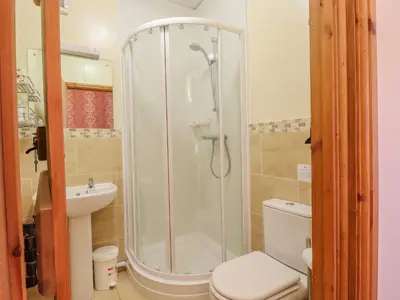 a bathroom with a shower and a toilet and a sink at Hayloft Cottage in Little Glenham
