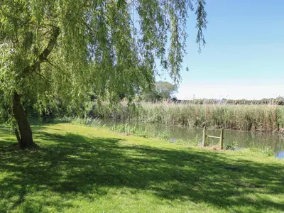 a tree in the grass next to a river at Lakeside Lodge in East Harling