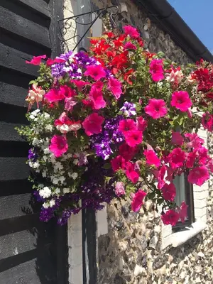 a hanging basket of flowers on the side of a building at Coach house hotel in Royston