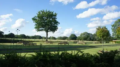 a park with picnic tables and a tree in a field at The Bull at Great Totham Limited in Great Totham