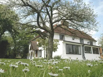 a white house with a tree in a field of flowers at The White House in Bishops Stortford