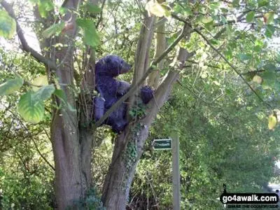 a teddy bear sitting on top of a tree at Watt Cottage in Ipswich