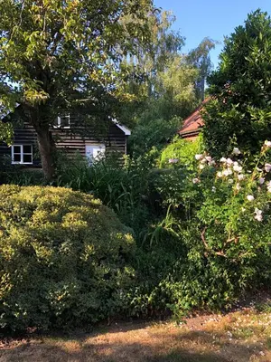a house with trees and bushes in front of a yard at Crown House Great Glemham in Saxmundham
