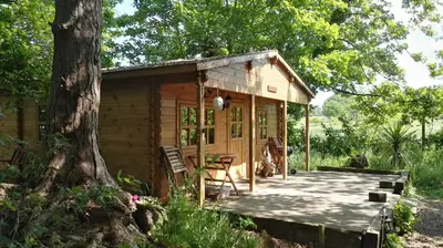 a small wooden cabin with a table and chairs on a deck at West Stow Pods in Bury St Edmunds in West Stow