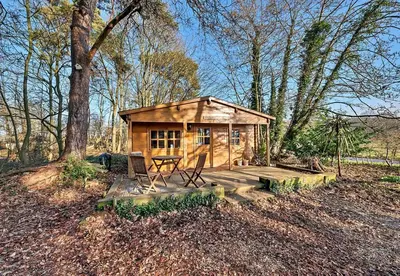 a small wooden cabin with a table and chairs in a forest at West Stow Pods in Bury St Edmunds in West Stow