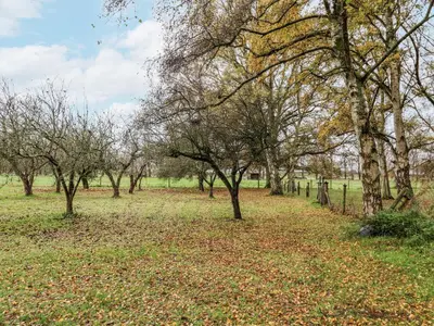 a row of trees in a field with leaves on the ground at The Lodge in Attleborough