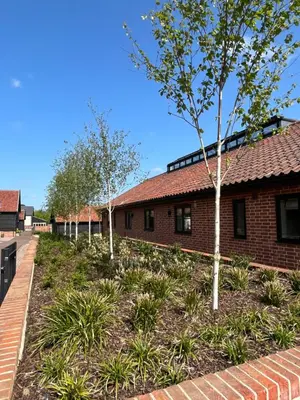 a row of trees in front of a building at White House Lodges in Heveningham