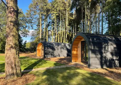 a small house in a forest with a tree at Great Hallingbury Manor & Lodges London Stansted in Bishops Stortford