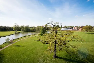 a tree in a field next to a river at Hinxton Hall Hotel and Conference Centre in Hinxton