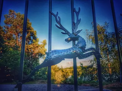 a blue deer statue in front of a window at Plumptons Farm Holiday Lodges in Colchester