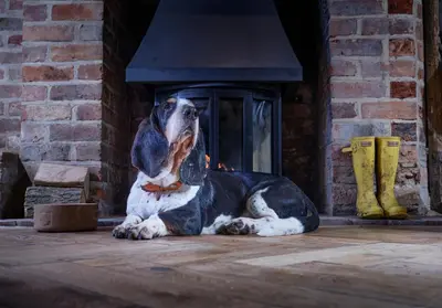 a dog is sitting in front of a fireplace at The Crown Inn in Stoke by Nayland
