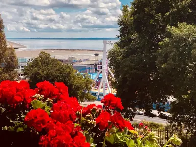 a group of red flowers with a view of the water at Pier View Self Catering Luxury Apartments in Southend-on-Sea
