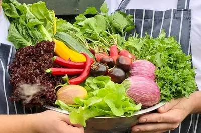 a person holding a plate of vegetables in their hands at Sibton White Horse Inn in Saxmundham