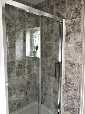 a shower with a glass door with a potted plant at Guineas House in Newmarket
