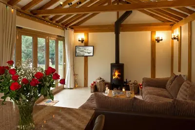 a living room with a couch and a fireplace at Owl's Hoot in Thorndon