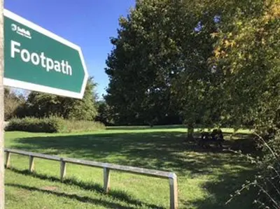 a green street sign sitting in a park at Owl's Hoot in Thorndon