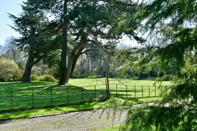 a fence in a field with trees and grass at Bluebell Studio in Saxmundham