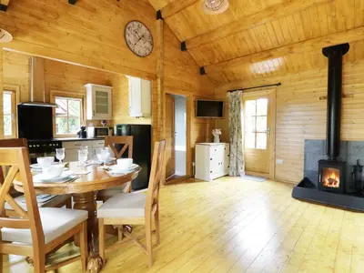 a dining room with a table and a fireplace at Acorn Lodge in Saxmundham