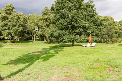 a park with a tree and a chair and an umbrella at Briar Hill in Aldringham