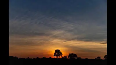 a sunset with a tree in a field at Swan Hotel in Harleston