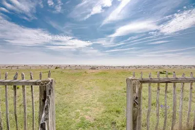 a fence in a field with horses in the distance at Fairhaven, Thorpeness in Thorpeness