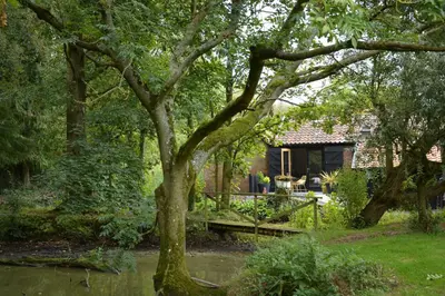 a cottage in the garden with a tree at Milk Parlour in Spexhall