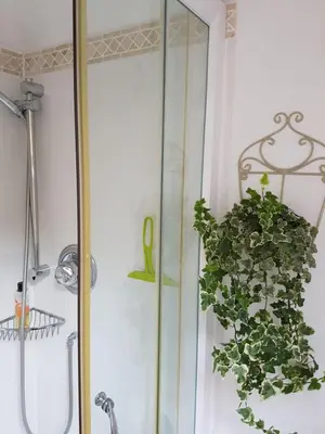 a glass shower door with a potted plant next to it at Wellrose Barn in Hertford