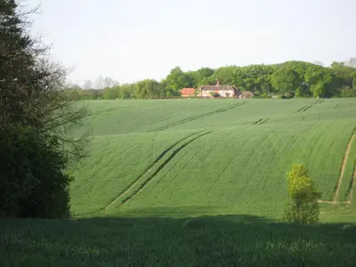 a large green field with a house in the distance at Wellrose Barn in Hertford
