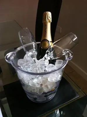 a bottle of champagne in a bucket of ice at Fullers Hill Cottages in Little Grandsen