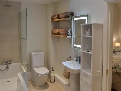 a bathroom with a toilet and a sink and a mirror at Blyth Green Stable in Long Stratton