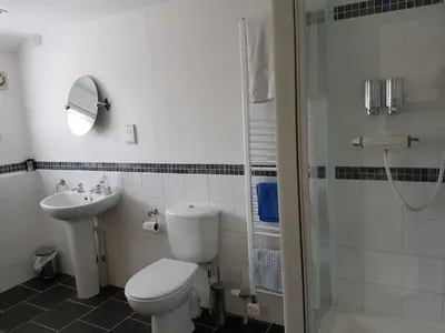 a bathroom with a toilet and a sink and a shower at The Brambles B&B in Waterbeach