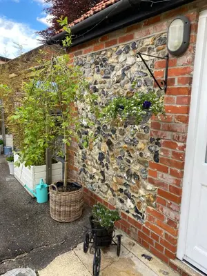 a brick wall with two potted plants and a bike against it at Ship Stores B&B in Clare