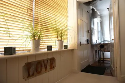 a window with plants on a shelf in a hallway at Ship Stores B&B in Clare