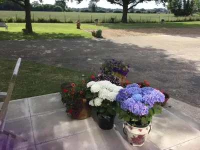 two vases filled with flowers sitting on a table at Eight ball house in Southburgh