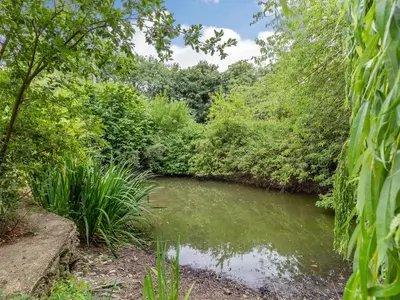 a pond in the middle of a garden at The Nest Box in Diss