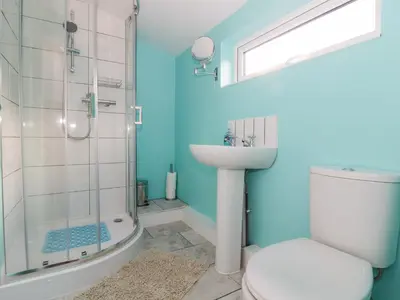 a bathroom with a toilet and a sink and a shower at The Nest Box in Diss