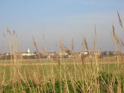 a field with tall grass with a lighthouse in the background at Corner Farm Barn in Halesworth