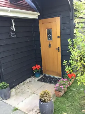 a black house with a brown door and some plants at Ivy Todd cottage in Debden