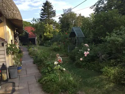a garden with a person sitting in the grass at Ivy Todd cottage in Debden