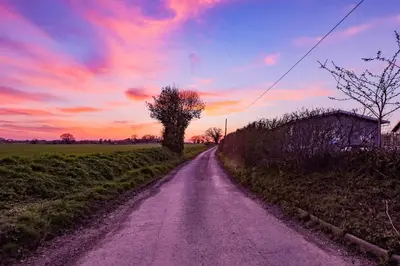 a dirt road with a tree in the middle of a field at Sunset log cabin in Sudbury