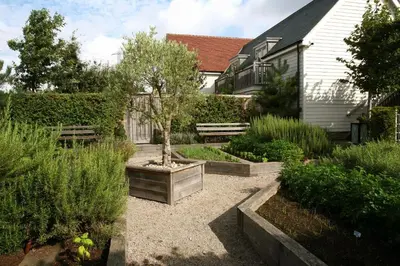 a garden in front of a house with a tree in a wooden box at The Lion Inn in Chelmsford